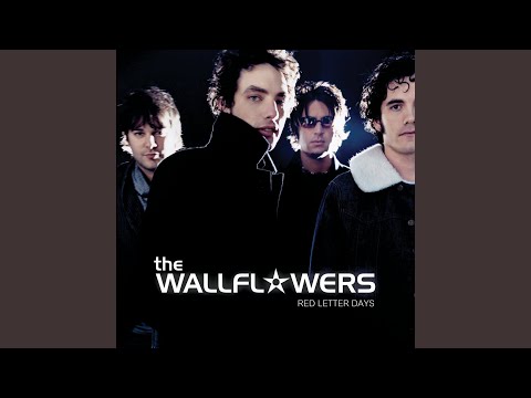 Everybody Out Of The Water