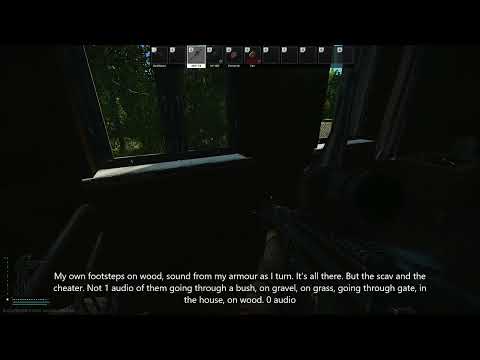 Tarkov sound bug