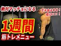 【丸パクリOK!!】初心者に超オススメの1週間の筋トレベストメニュー