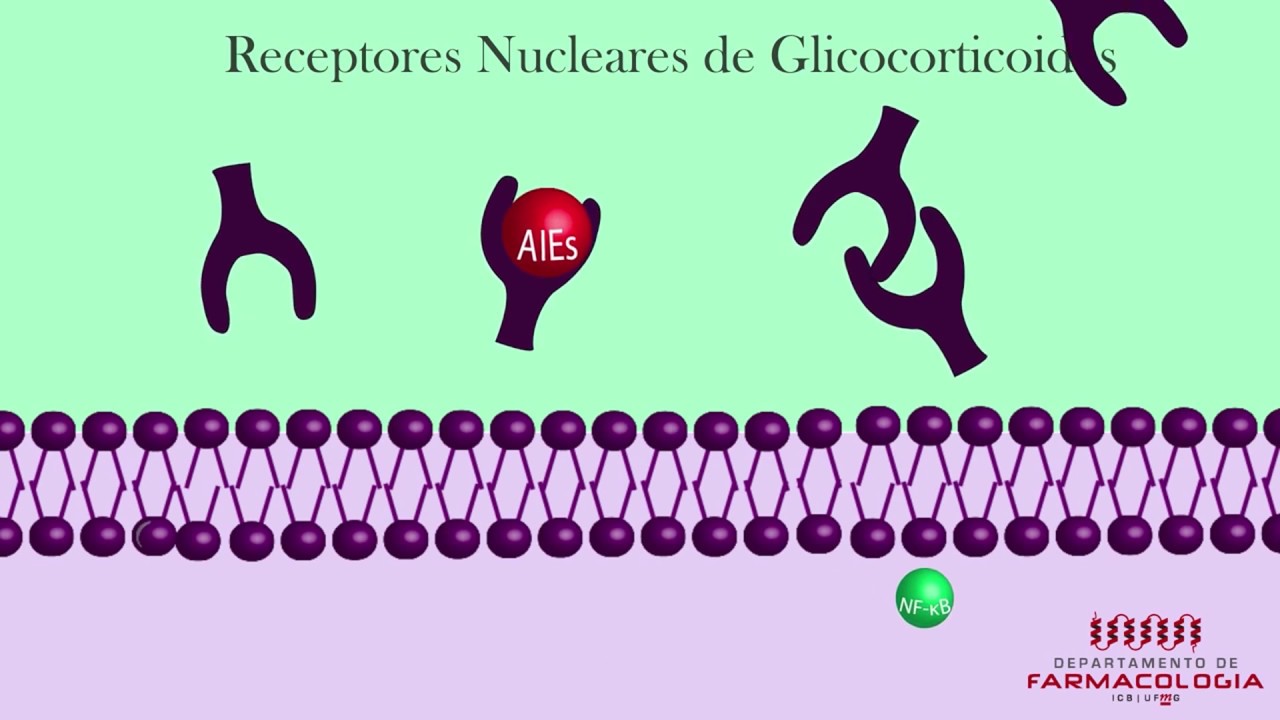 INFLAMAÇÃO | Mecanismo de Ação dos Fármacos Anti-Inflamatórios