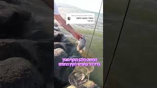 ממתי מושט נתפס בז'ירז'ור ??? מאז ומעולם!!! #fishing