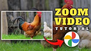 Tutorial zoom video || google foto tutorial 🔥