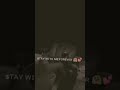 123 Dil Ko Karar Tujhe Pe Pyar Aaya Pahli Pahli Bar Aaya O Yara WhatsApp Status