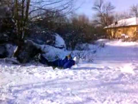 sanius la campia 1.MP4