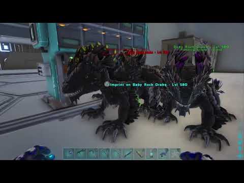Rock Drake Mutations? | Ark:Survival Evolved