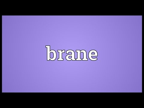 Brane Meaning