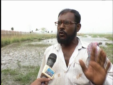 কুষ্টিয়ায় নদীতে বাঁধ দিয়ে মাছ চাষ, বোরো আবাদ নিয়ে শঙ্কায় কৃষকরা | ETV News