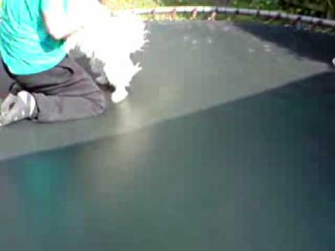 mike word gemarteld door moos