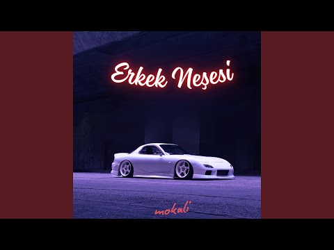 Erkek Neşesi (Tolny)