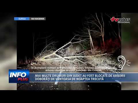 MAI MULTE DRUMURI DIN JUDEȚ AU FOST BLOCATE DE ARBORII DOBORÂȚI DE VÂNTOASA DE NOAPTEA TRECUTĂ