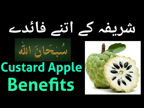 Health benefits of custard apple | fruits benefits for health | shareefa fruit benefits | sarifa fal