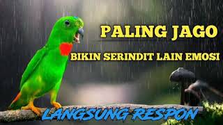 Download lagu 🔴 HITUNGAN MENIT SERINDIT LAIN LANGSUNG RESPON‼️PANCINGAN SERINDIT GACOR‼️ mp3