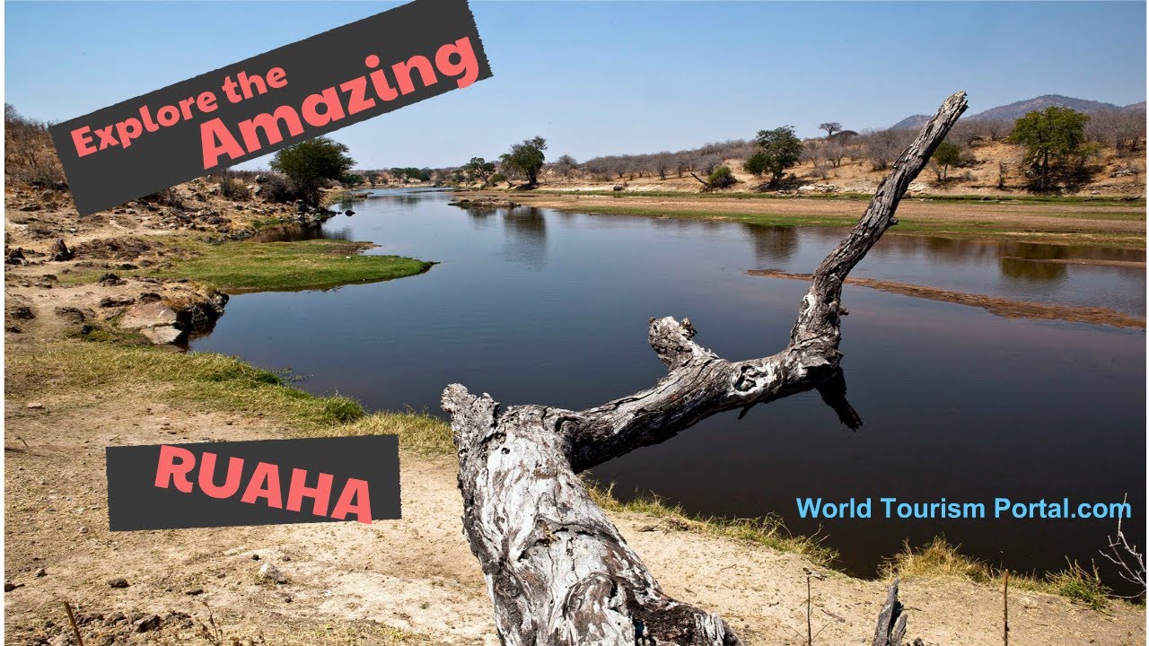 Ruaha National Park