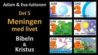 Thumbnail for video: Adam och Eva-lutionen Del 5: Meningen med livet (Bibeln & Kristus)