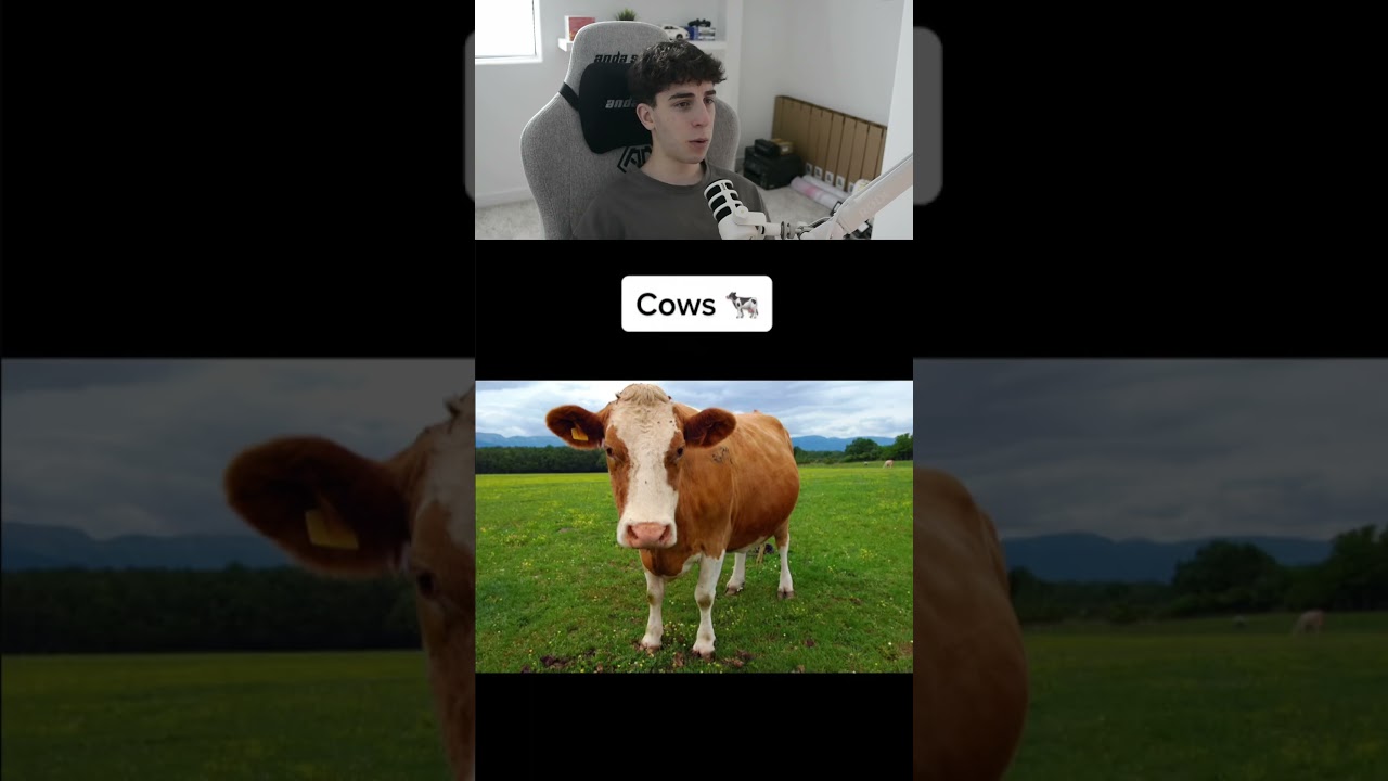 LAUNCH THE SOUND 🚀