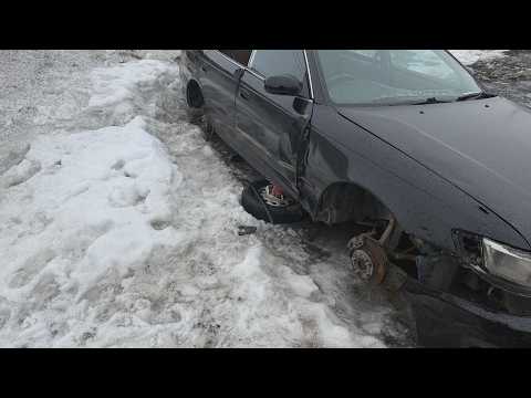 МАРК БЫЛ ХОРОШИЙ | Новости Камчатки | Масс Медиа