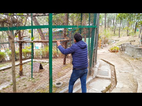 Gopalpur Zoo - Tripopola