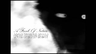 DROID SECTOR DECAY - A Freak Of Nature