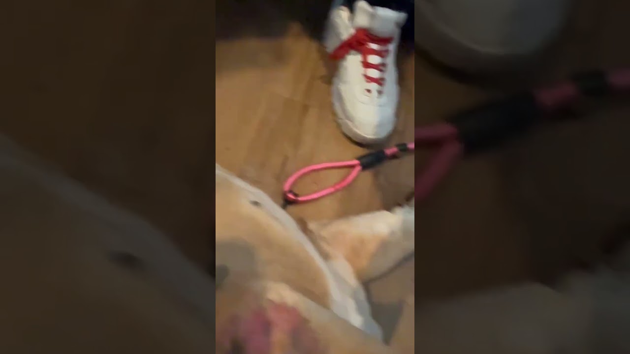Brick video