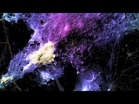 Hjärnfonden - Alzheimers sjukdom