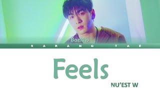 NU'EST W (뉴이스트 W) - 'FEELS' Lyrics (BAEKHO SOLO) [Color Coded_Han_Rom_Eng]