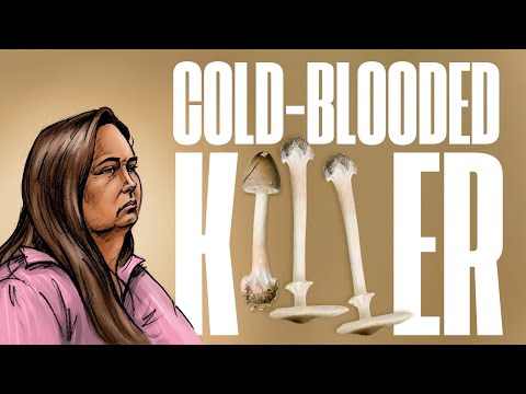 Erin Patterson: The Mushroom Murders | PART 2