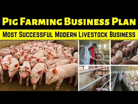 , title : 'Pig Farming Business Plan || Start Your Own Pig Farming Business and Prosper!'