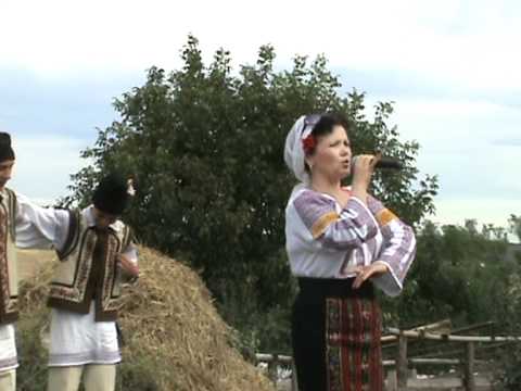 Coroiesti - hramul satului - 8 septembrie 2011(5)