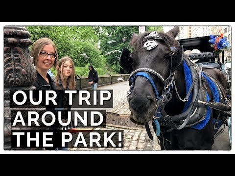 download lagu mp3 mp4 Central Park Carriage Rides, download lagu Central Park Carriage Rides gratis, unduh video klip Central Park Carriage Rides