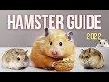 Watch BEFORE You Get A Hamster Basic Hamster Guide 2022