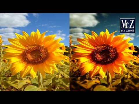 Speed Tutorial Gimp - Applicare effetti alle immagini - Apply effects to images