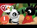 Tree Nicky And MORE 1 Hour Full Episodes Compilation Bing English