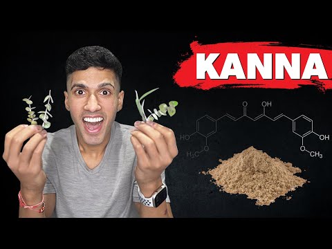I Tried Kanna to Reset My Dopamine Levels (Sceletium Tortuosum for Anxiety & Stress Relief)