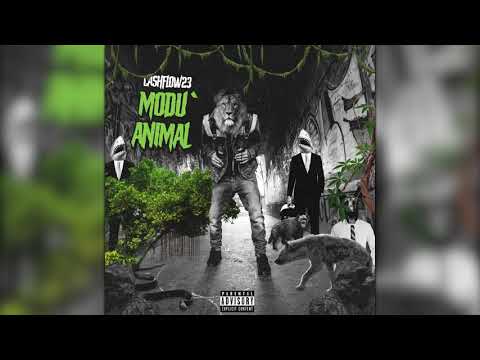 CASHFLOW23 - Modu' Animal (Music Video)