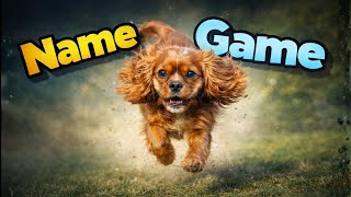 The #1 Step for a Perfect Cavalier Recall: The Name Game! 🐶