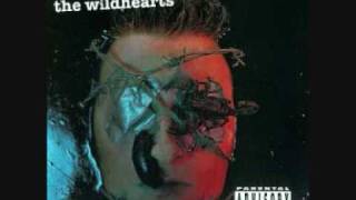 The Wildhearts - Shame on me