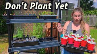 Before You Plant Your Garden… Do This First (5 Things That Make a Huge Difference)