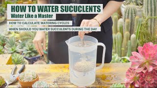 HOW TO WATER SUCCULENTS LIKE A MASTER | 9 Years Living with Succulents