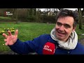 Bijzondere boom in Leusden? Nomineer hem voor de beschermde lijst [RTV Utrecht]