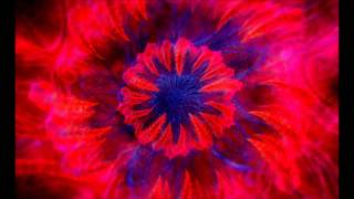 Electrify Me - David Starfire feat  Brittania Kalya Scintilla Remix