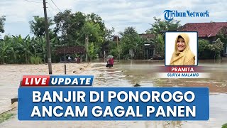 Diguyur Hujan Dua Hari Puluhan Hektare Sawah Ponorogo Tergenang Banjir, Petani Resah Gagal Panen