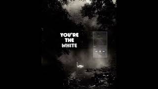 Download lagu Flash - CAS (Lyrics) [TikTok Version] mp3