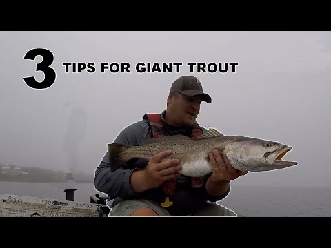 3 TIPS to Catch GIANT Speckled Trout This Summer