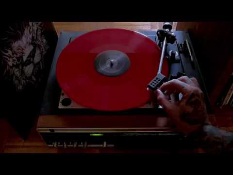 Tausend Löwen unter Feinden - Nebel