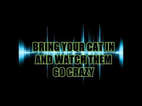 Only Cats can Hear This Pitch!