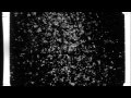 Scattered in the Wind by IMPLODES (film by Lori ...