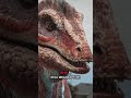 Is There S A Megaraptor Behind You HELP