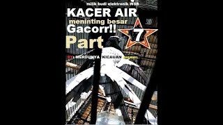 Download lagu Kacer air (meninting besar) gacor milik om budi elektronik wonosobo part 7 mp3 Download lagu Kacer air (meninting besar) gacor milik om budi elektronik wonosobo part 7 mp3