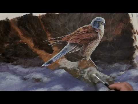 Painting Birds - The Kestrel Two - Part Three