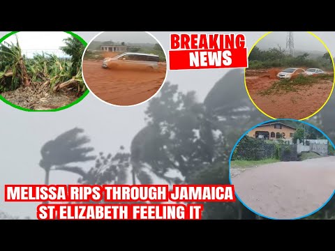 Melissa Rips Through Black River St Elizabeth & Massive Flooding Starts 